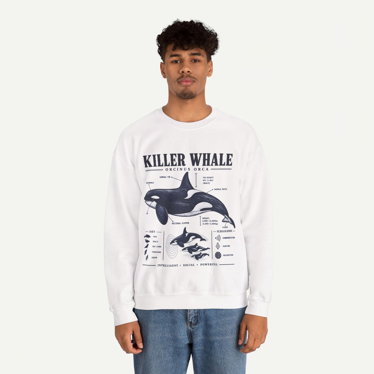 Killer Whale Anatomy Sweatshirt