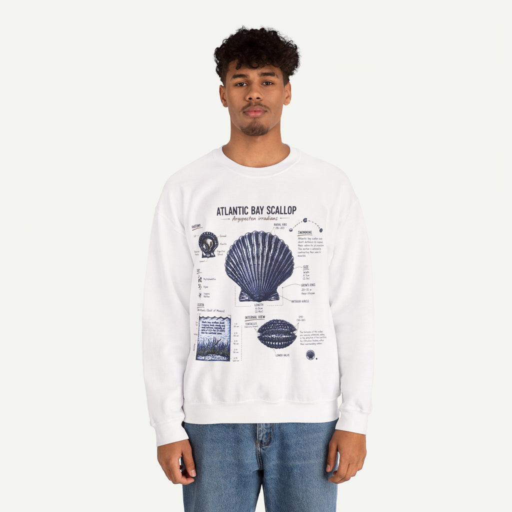 Scallop Anatomy Sweatshirt — Atlantic Bay Seashell Illustration Crewneck