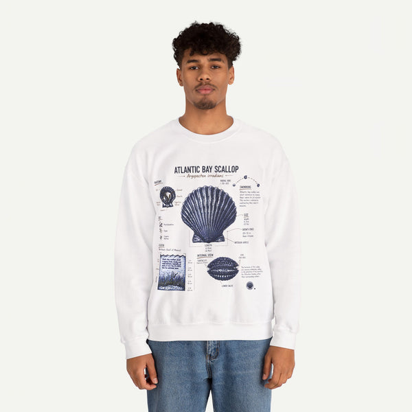 Scallop Anatomy Sweatshirt — Atlantic Bay Seashell Illustration Crewneck