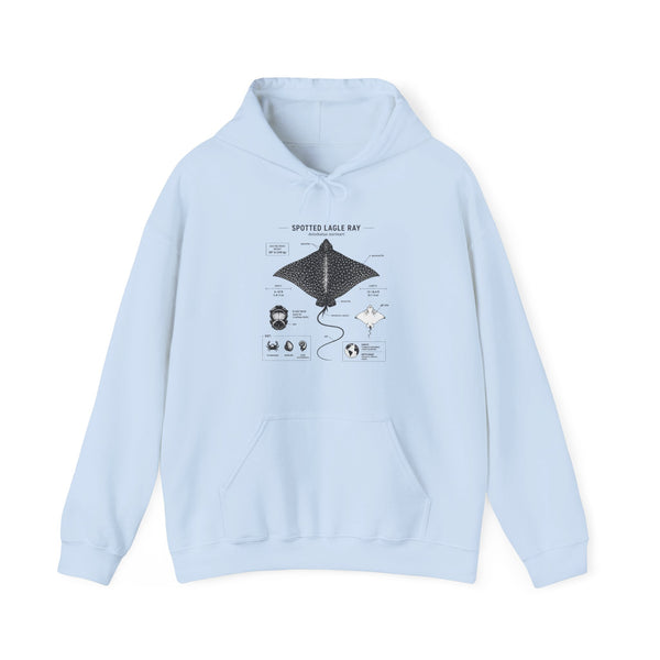 Manta Ray Anatomy Hoodie – Spotted Eagle Ray Diagram Sweatshirt