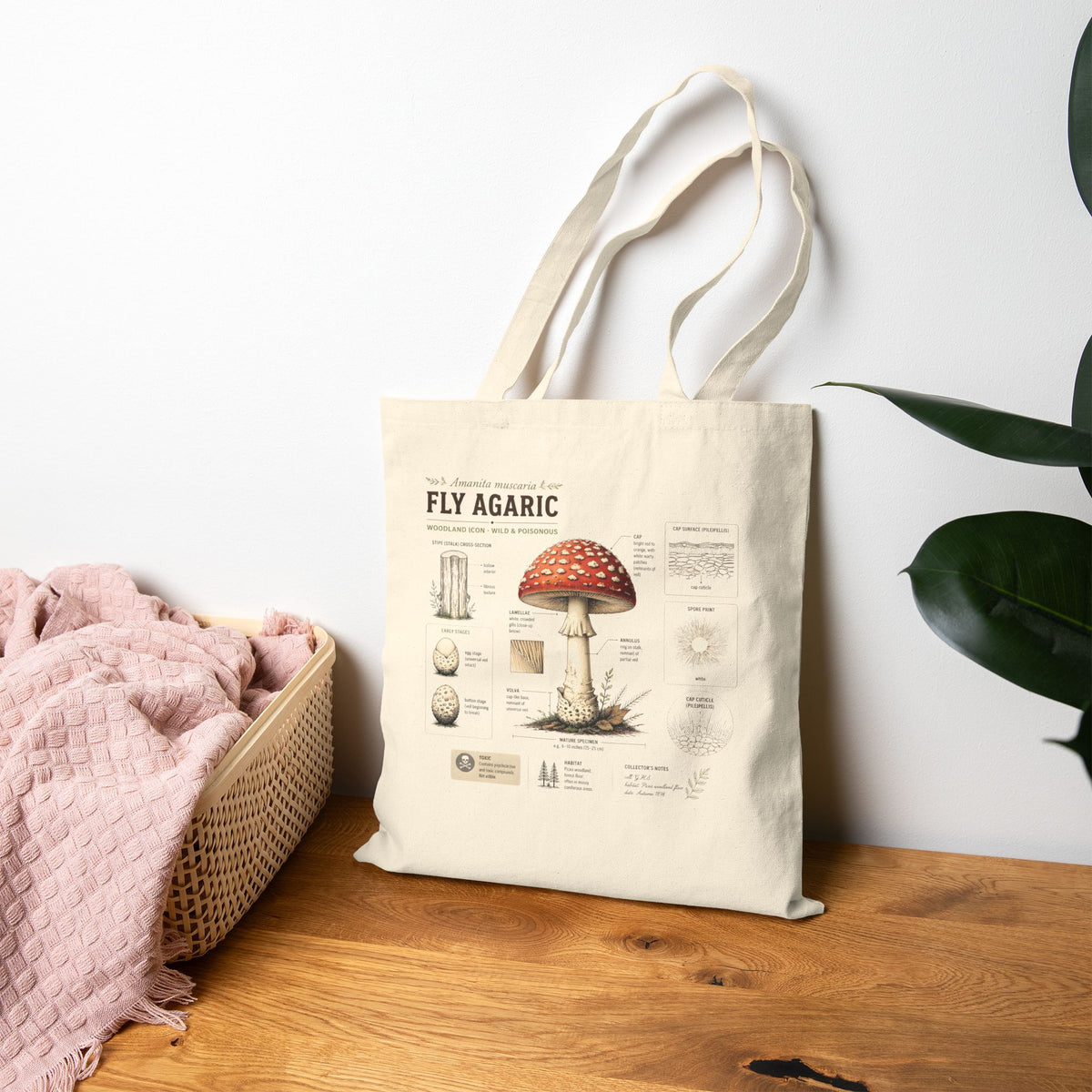 Mushroom Botanical Anatomy Tote Bag — Fly Agaric Illustration Canvas Tote