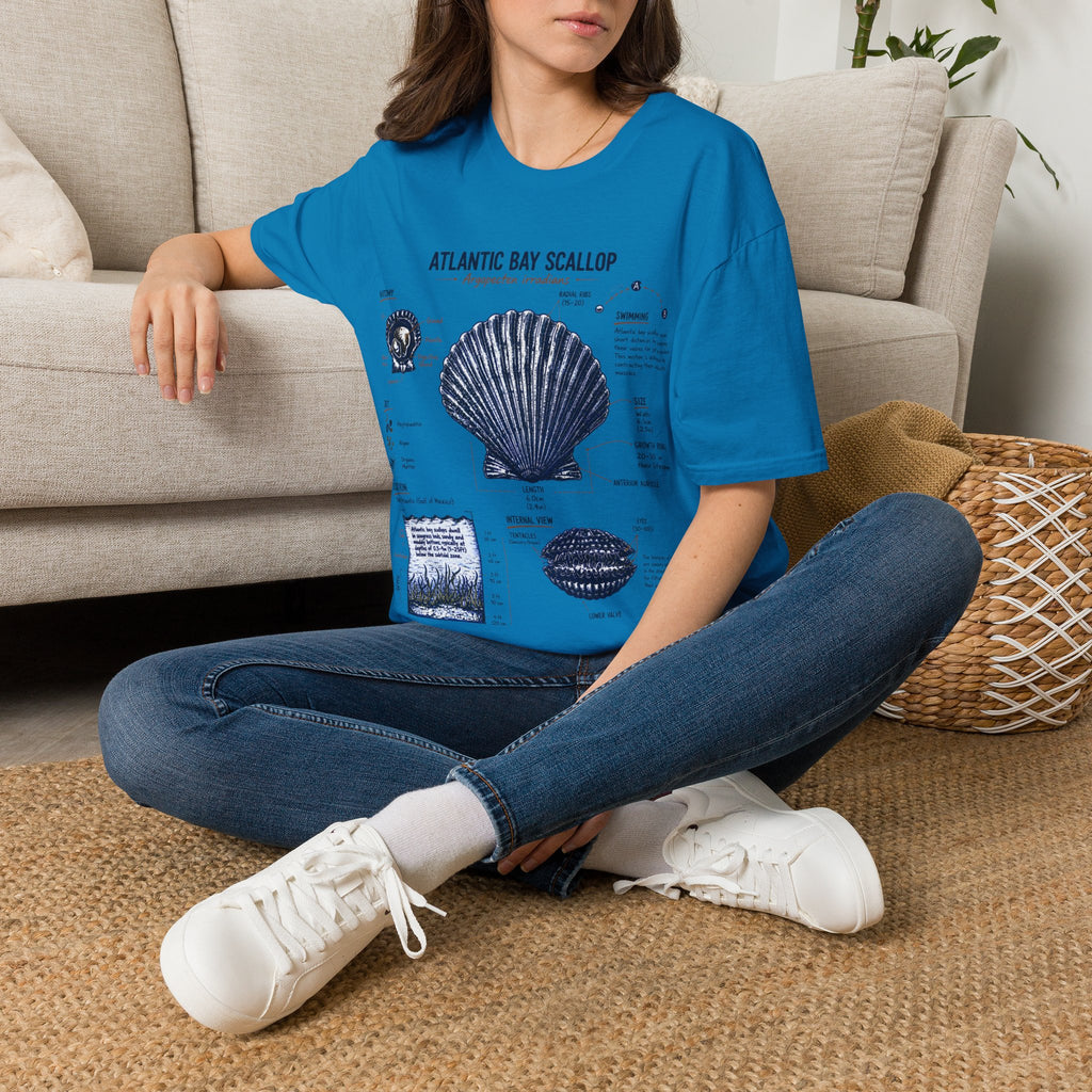 Scallop Shell Anatomy T‑Shirt — Atlantic Bay Scallop Illustration Tee