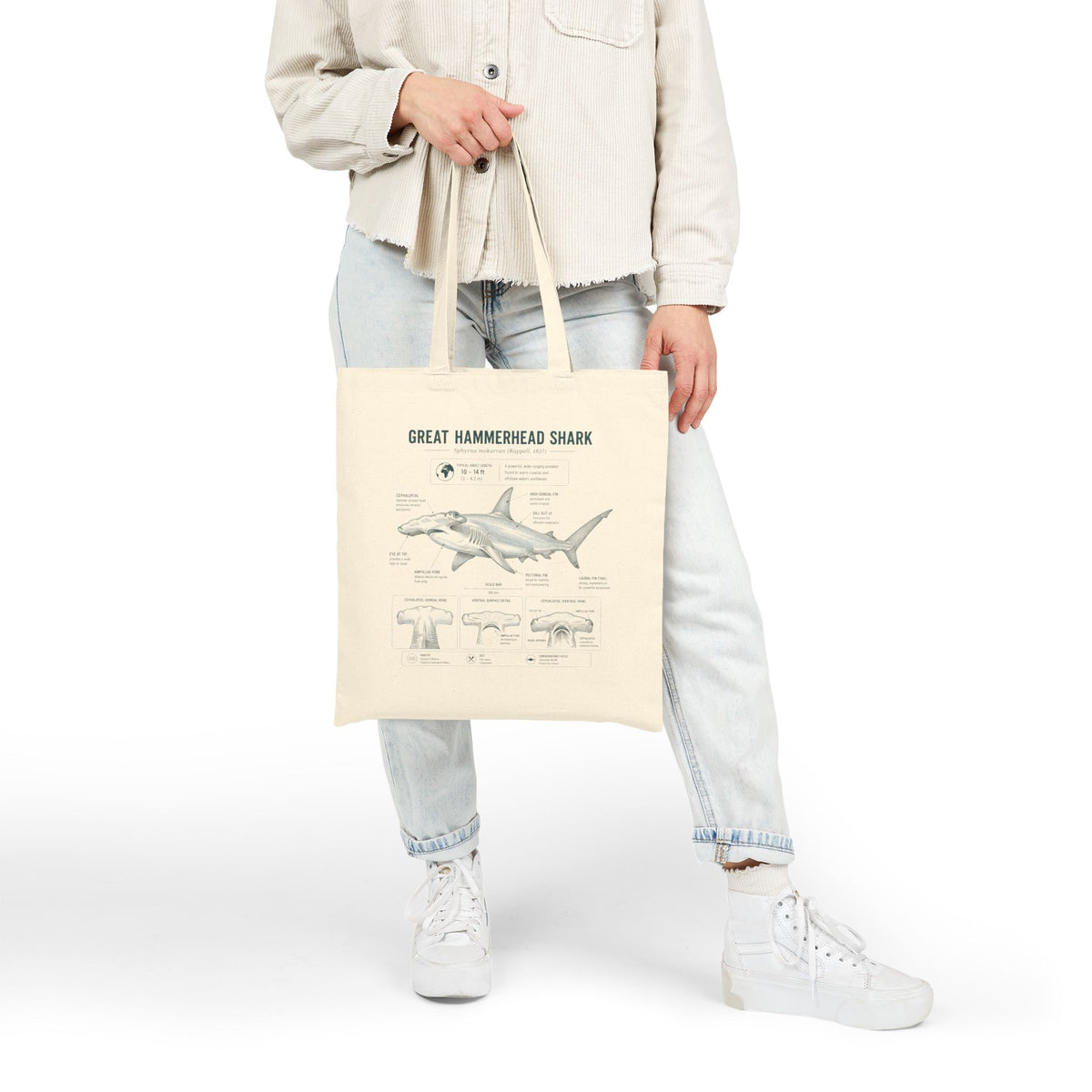 Great Hammerhead Shark Anatomy Canvas Tote Bag — Marine Biology Diagram Beach Bag