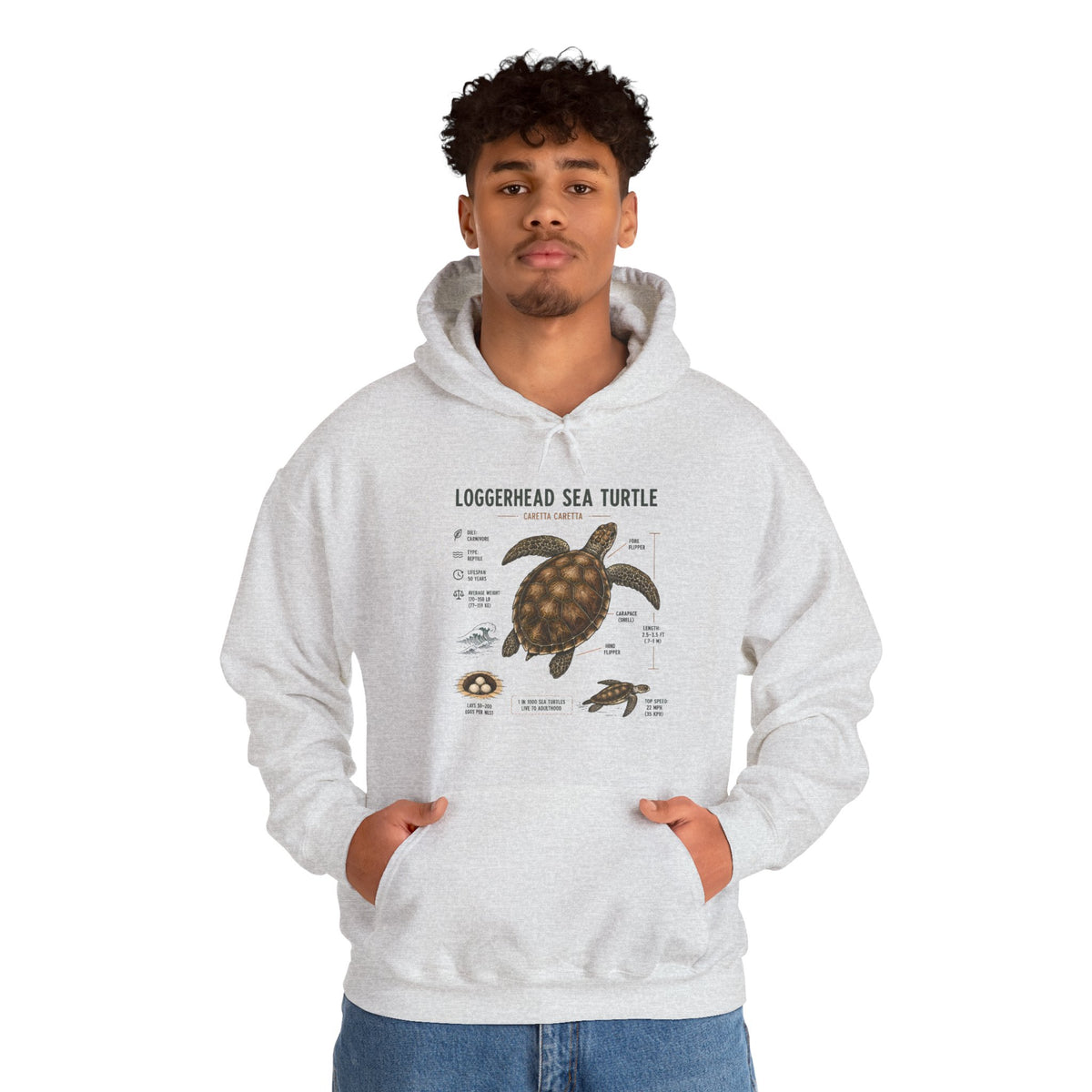 Loggerhead Sea Turtle Diagram Hoodie – Marine Biology Illustration Sweatshirt