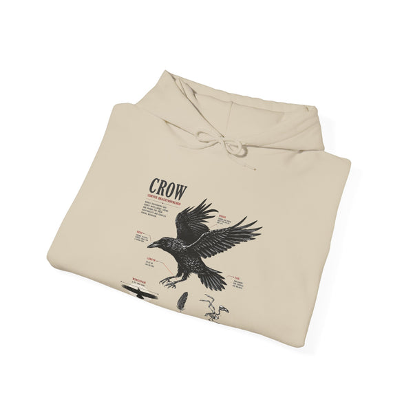 Crow Anatomy Hoodie — Vintage Raven Diagram Hooded Sweatshirt