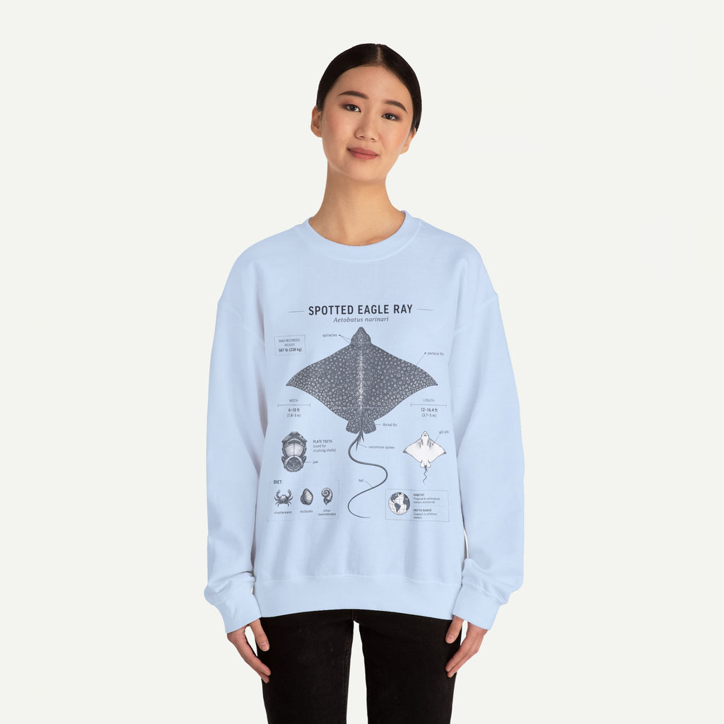 Spotted Eagle Ray Anatomy Sweatshirt – Marine Biology Illustration