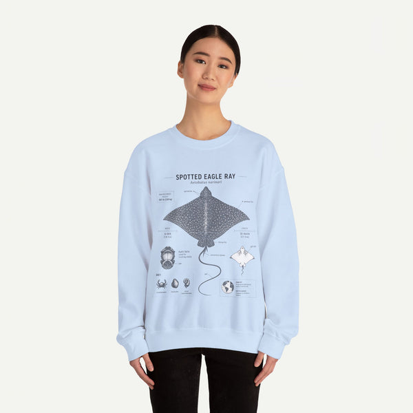 Spotted Eagle Ray Anatomy Sweatshirt – Marine Biology Illustration
