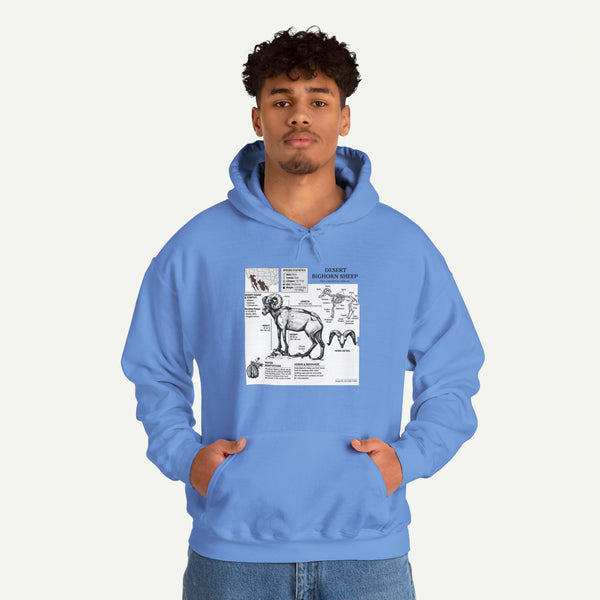 Dog Anatomy Hoodie – Vintage Canine Diagram Sweatshirt