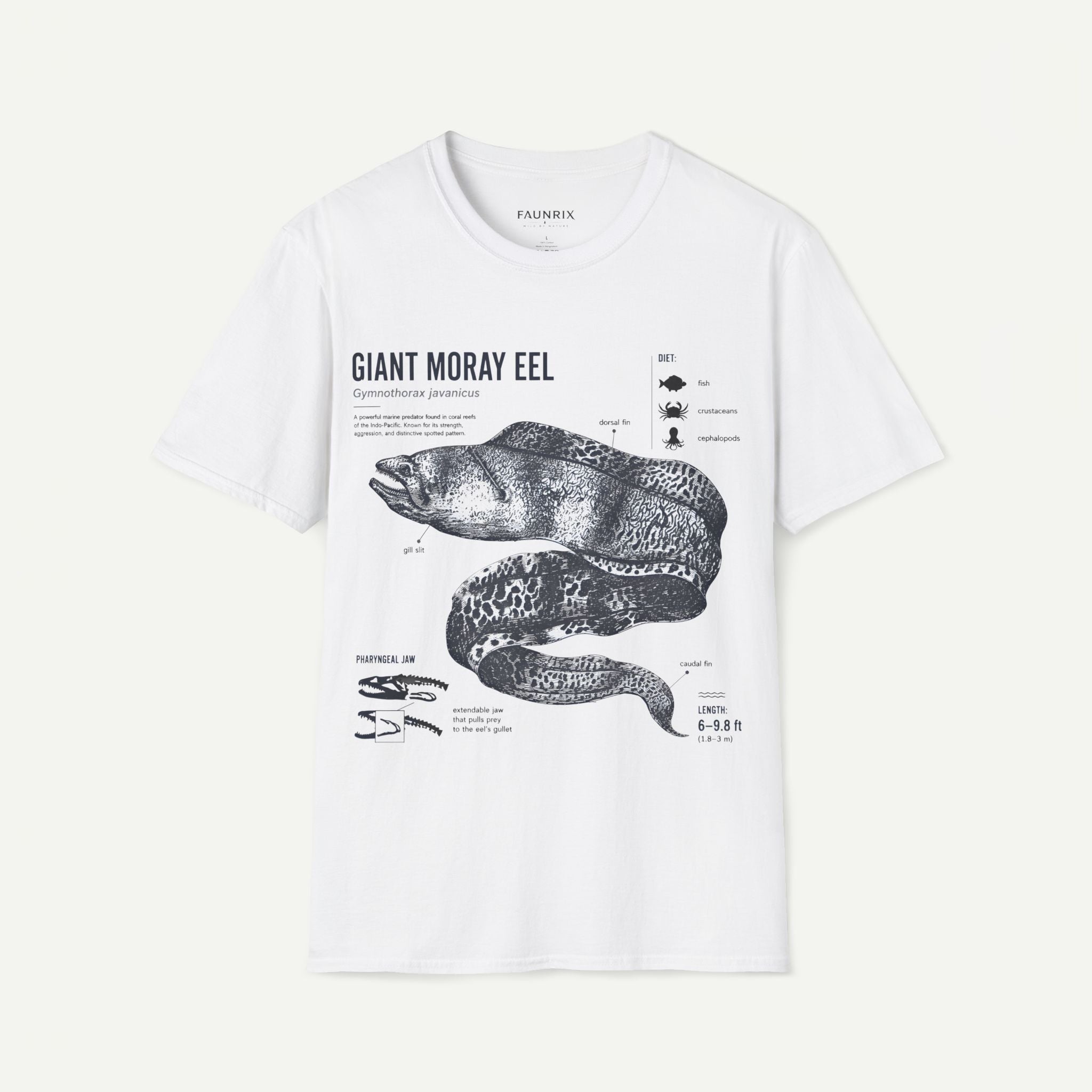 Moray Eel Anatomy Graphic T-Shirt — Vintage Scientific Illustration Tee Secondary image