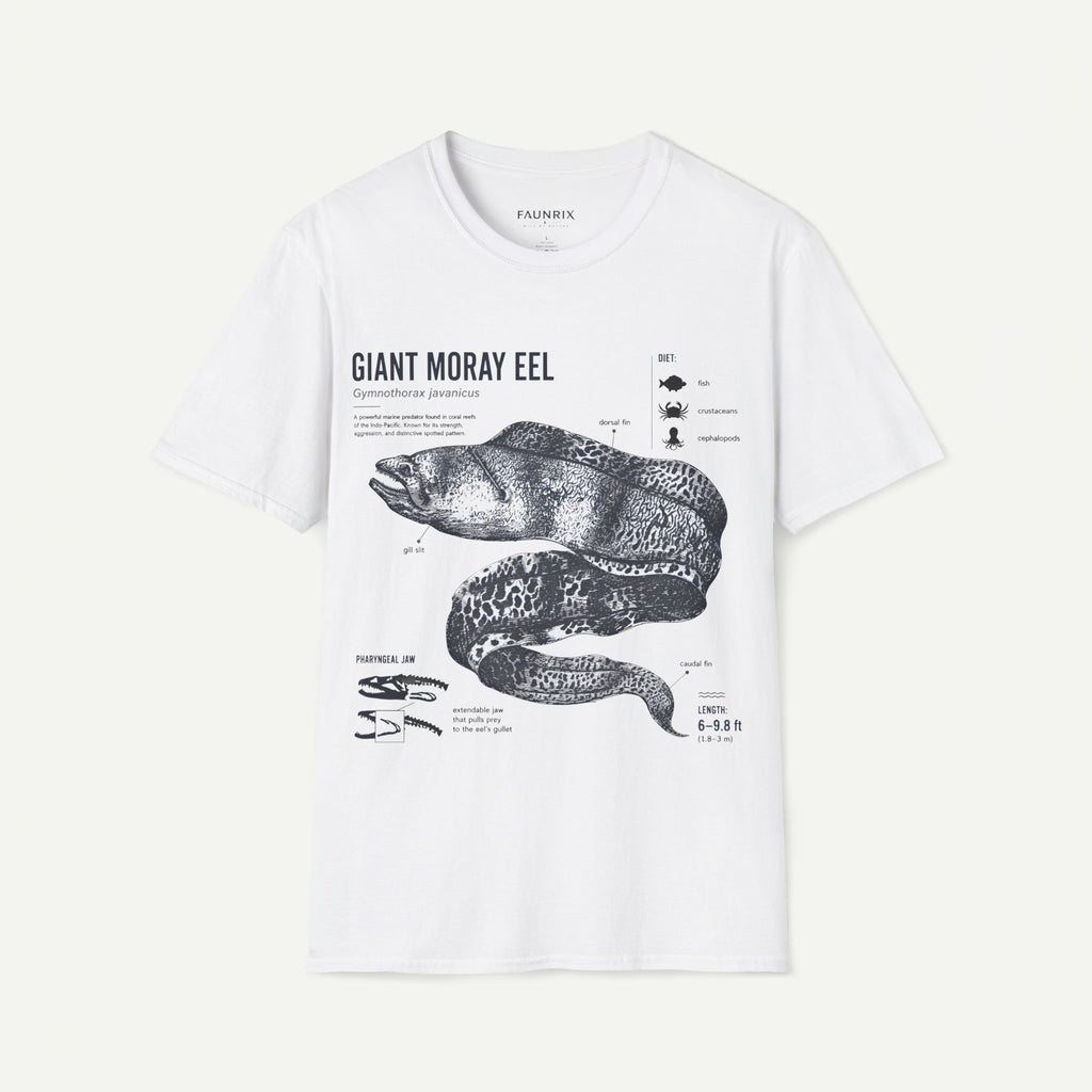 Moray Eel Anatomy Graphic T-Shirt — Vintage Scientific Illustration Tee