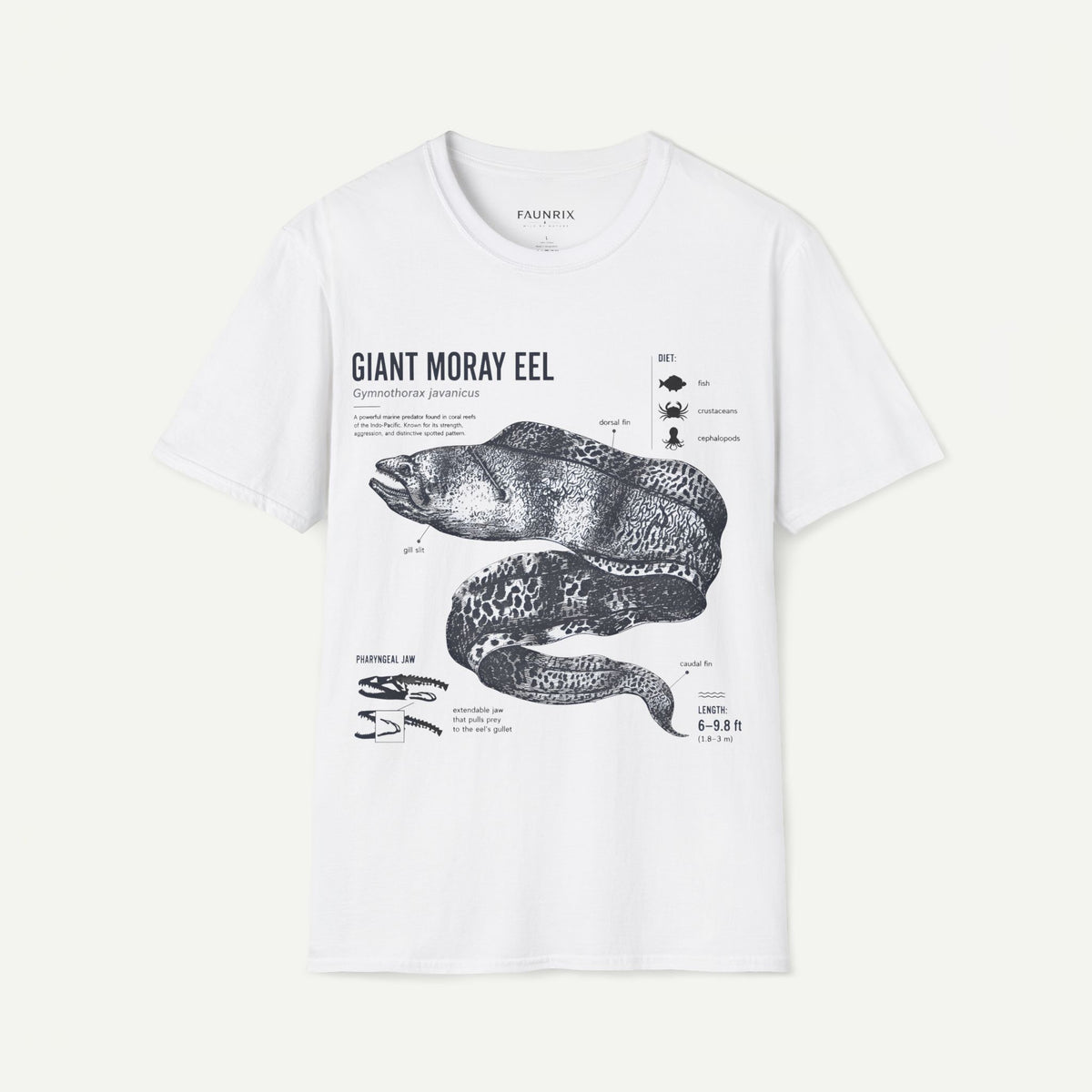 Moray Eel Anatomy Graphic T-Shirt — Vintage Scientific Illustration Tee