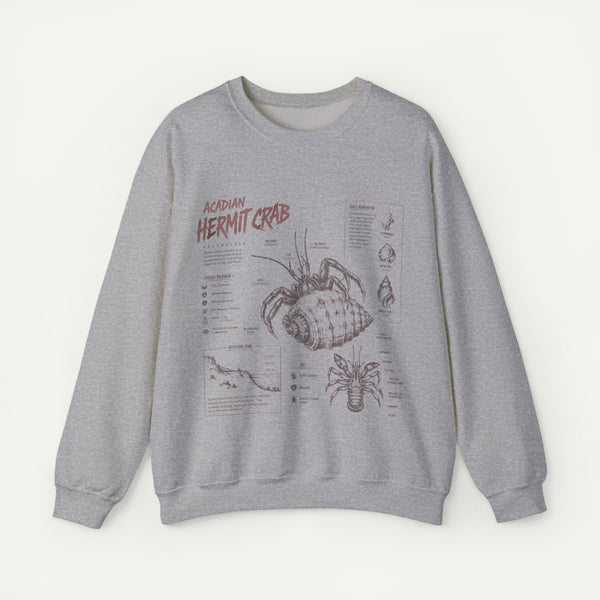 Hermit Crab Anatomy Sweatshirt — Acadian Hermit Crab Illustration