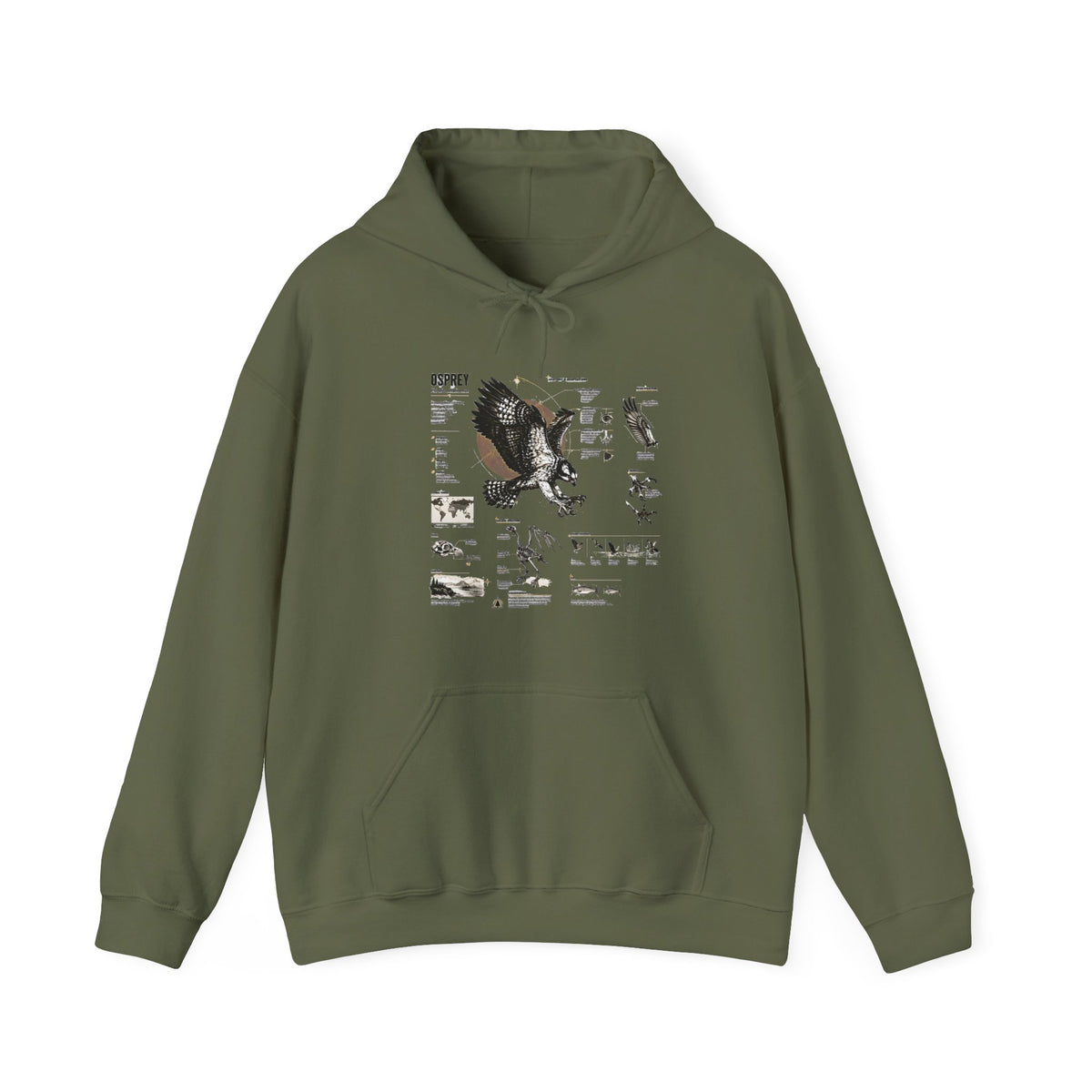 Eagle Anatomy Hoodie — Vintage Ornithology Graphic Sweatshirt