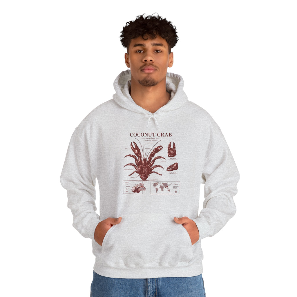Coconut Crab Anatomy Hoodie — Vintage Botanical & Marine Study Print