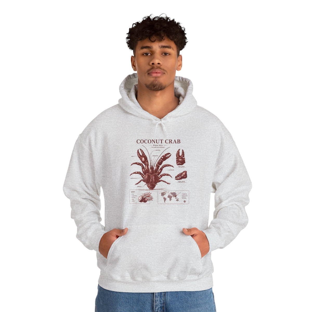 Coconut Crab Anatomy Hoodie — Vintage Botanical & Marine Study Print