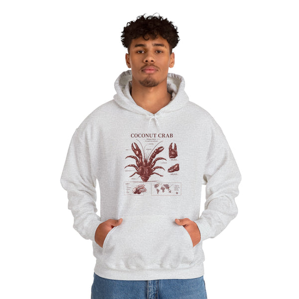Coconut Crab Anatomy Hoodie — Vintage Botanical & Marine Study Print