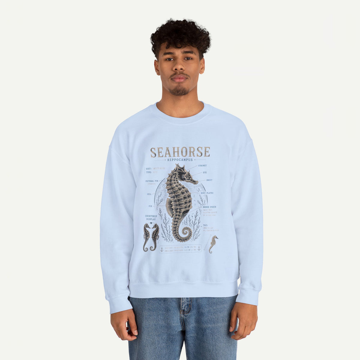 Seahorse Anatomy Crewneck Sweatshirt