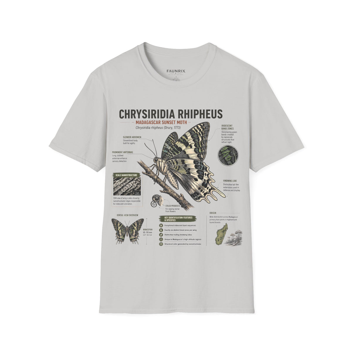 Moth Anatomy Tee — Chrysiridia Rhipheus Madagascar Sunset Moth Scientific Print