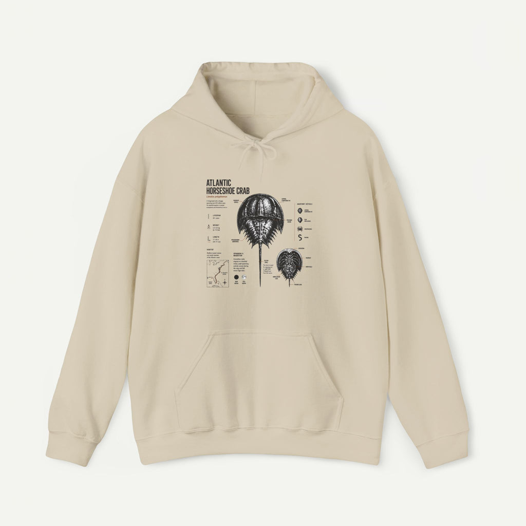 Horseshoe Crab Anatomy Hoodies