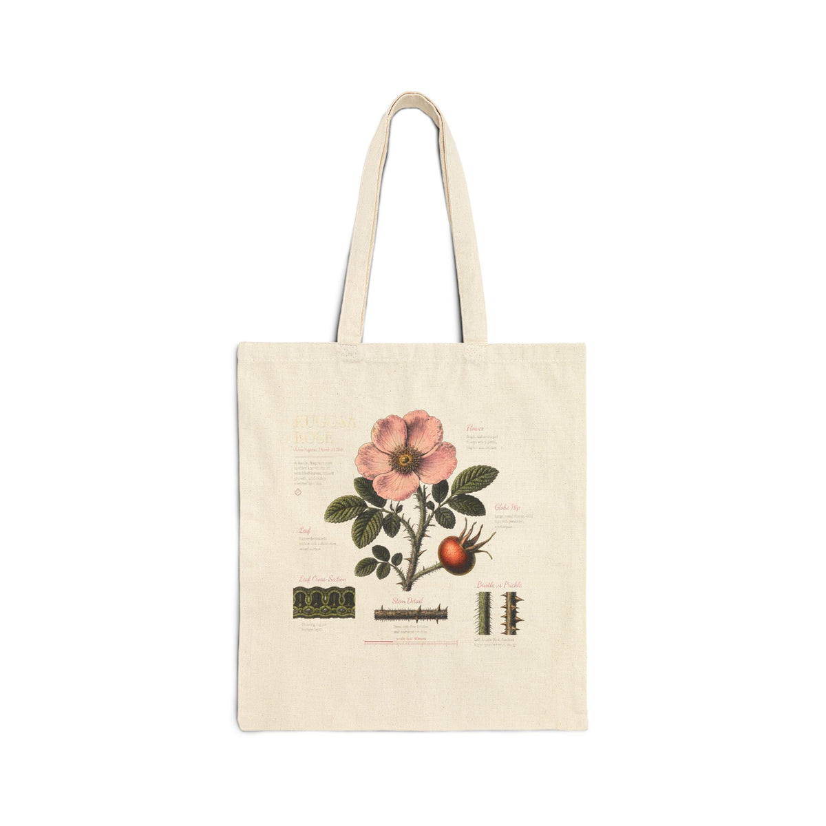 Botanical Rosehip Tote Bag — Vintage Floral Cotton Canvas Grocery Tote