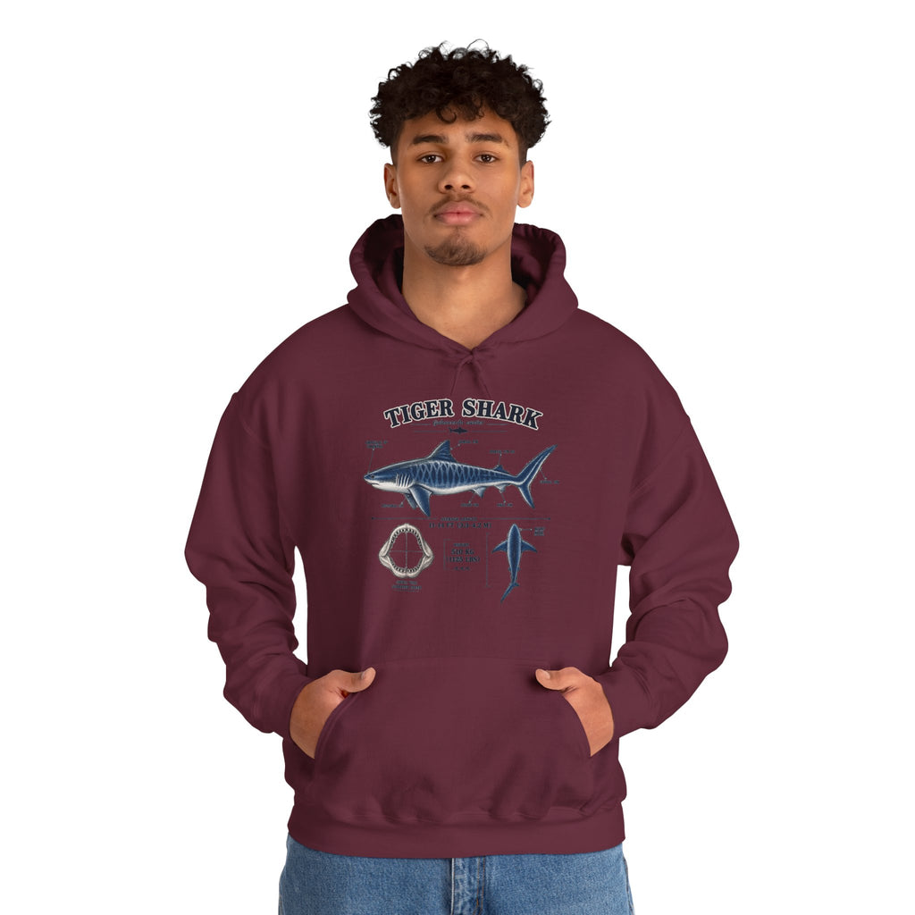 Tiger Shark Anatomy Hoodie — Nautical Science Graphic Pullover