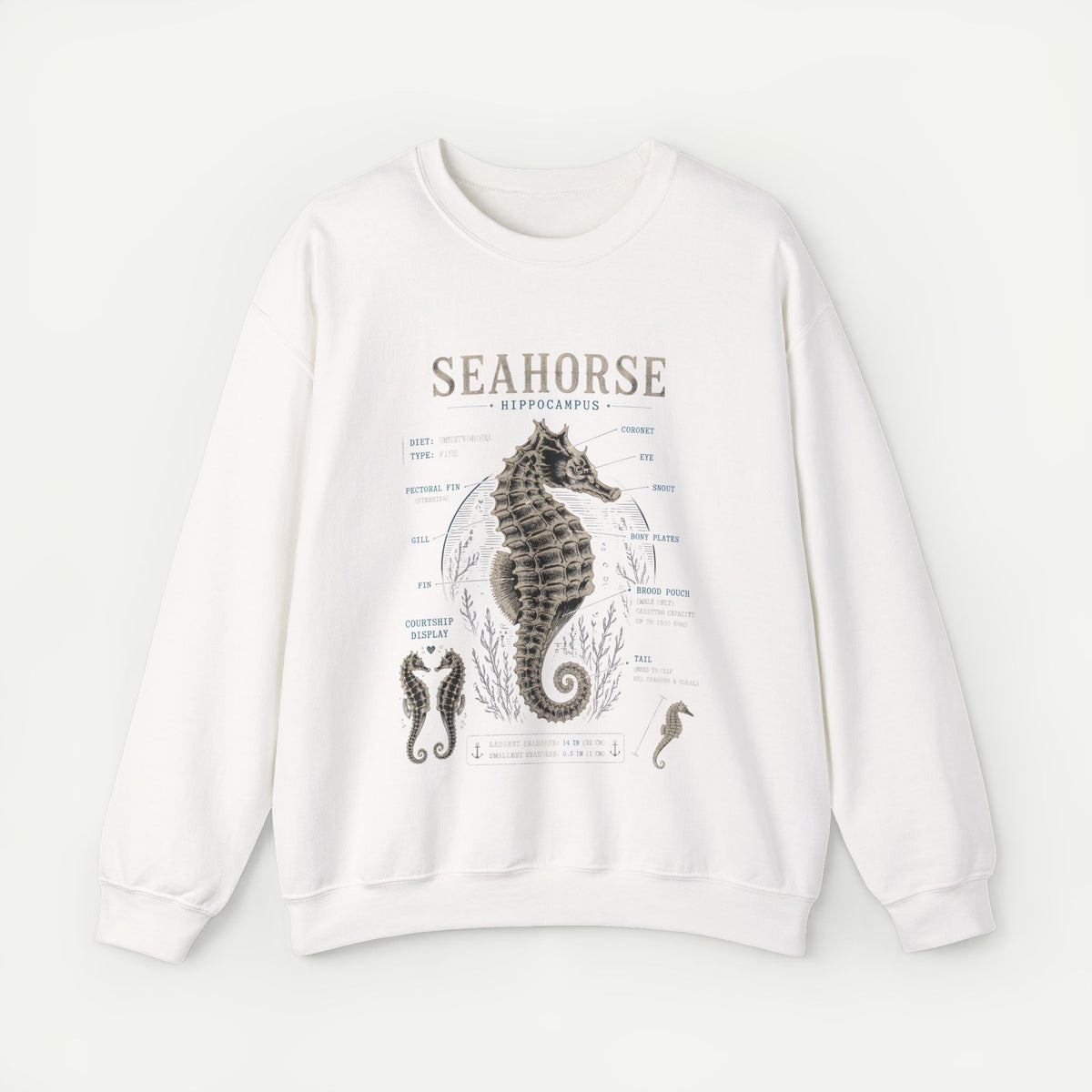 Seahorse Anatomy Crewneck Sweatshirt