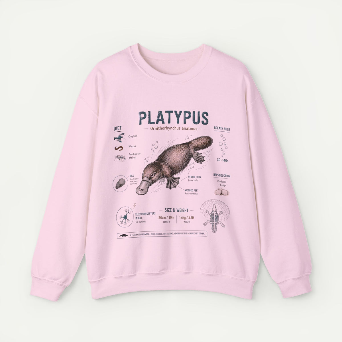 Platypus Anatomy Sweatshirt — Vintage Scientific Illustration Main image