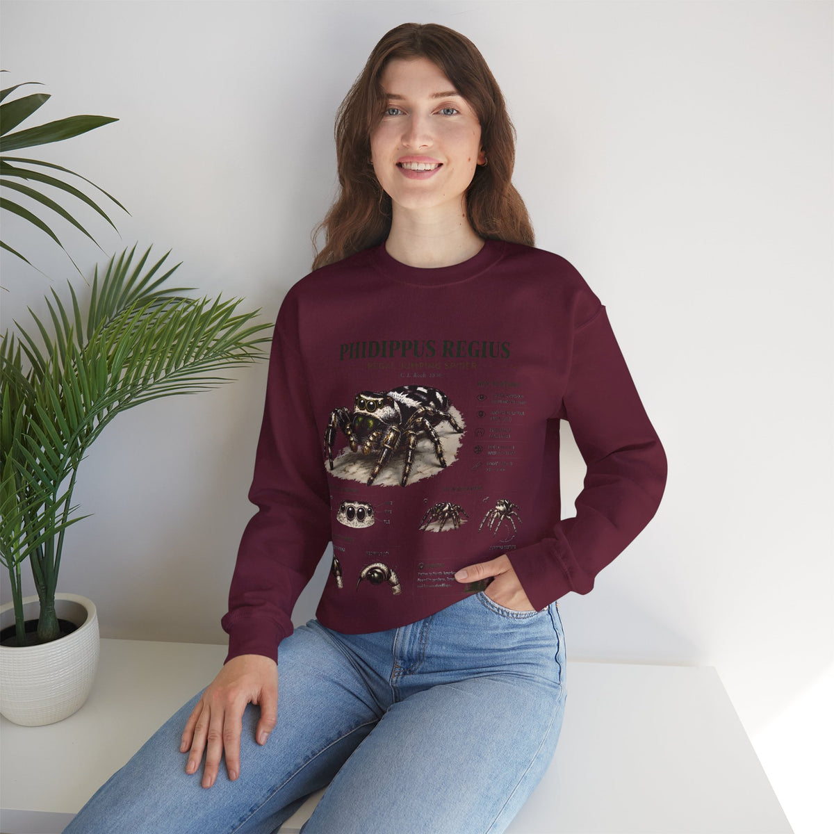 Spider Anatomy Crewneck Sweatshirt — Phidippus Regius Jumping Spider Illustration