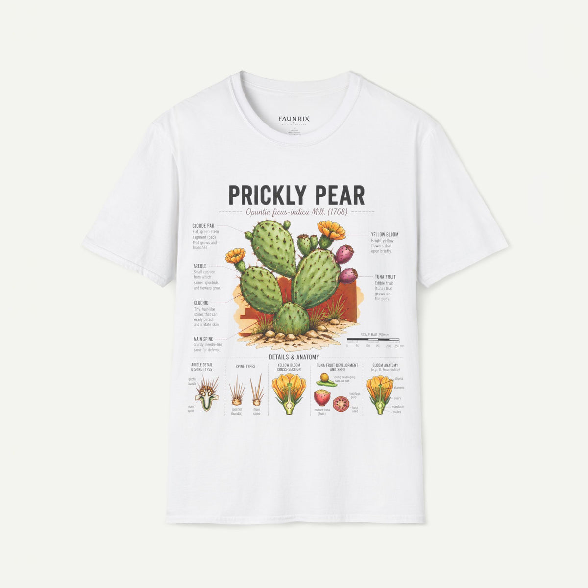 Prickly Pear Botanical T-Shirt — Vintage Cactus Illustration Tee Main image