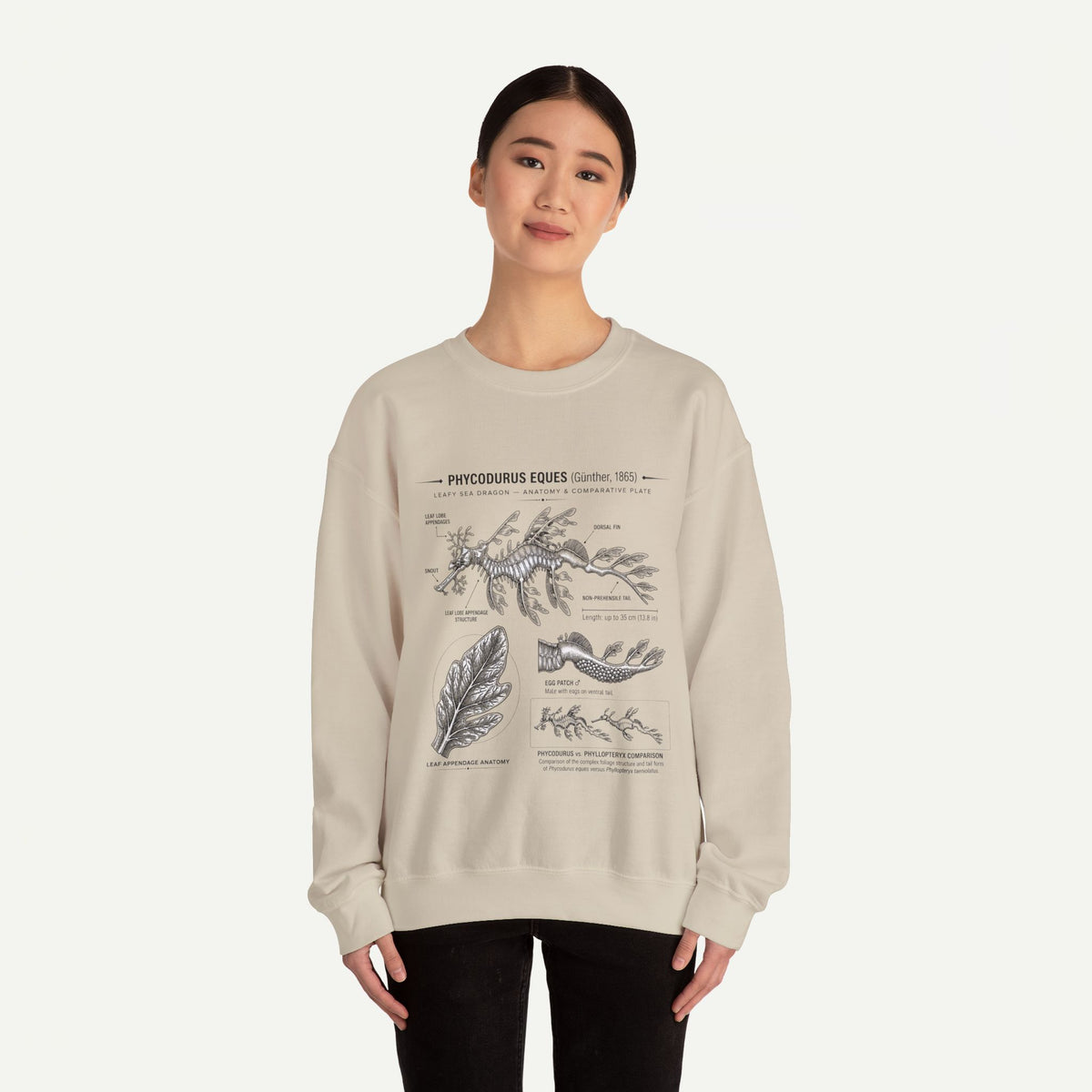 Botanical Anatomy Sweatshirt — Vintage Phycodurus Eques Seaweed Illustration