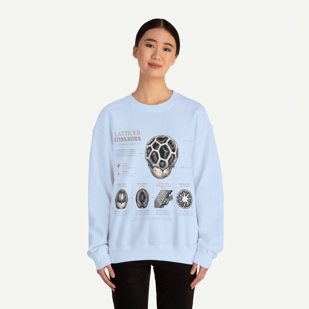 Mushroom Anatomy Sweatshirt – Latticeed Stinkhorn Mycology Crewneck