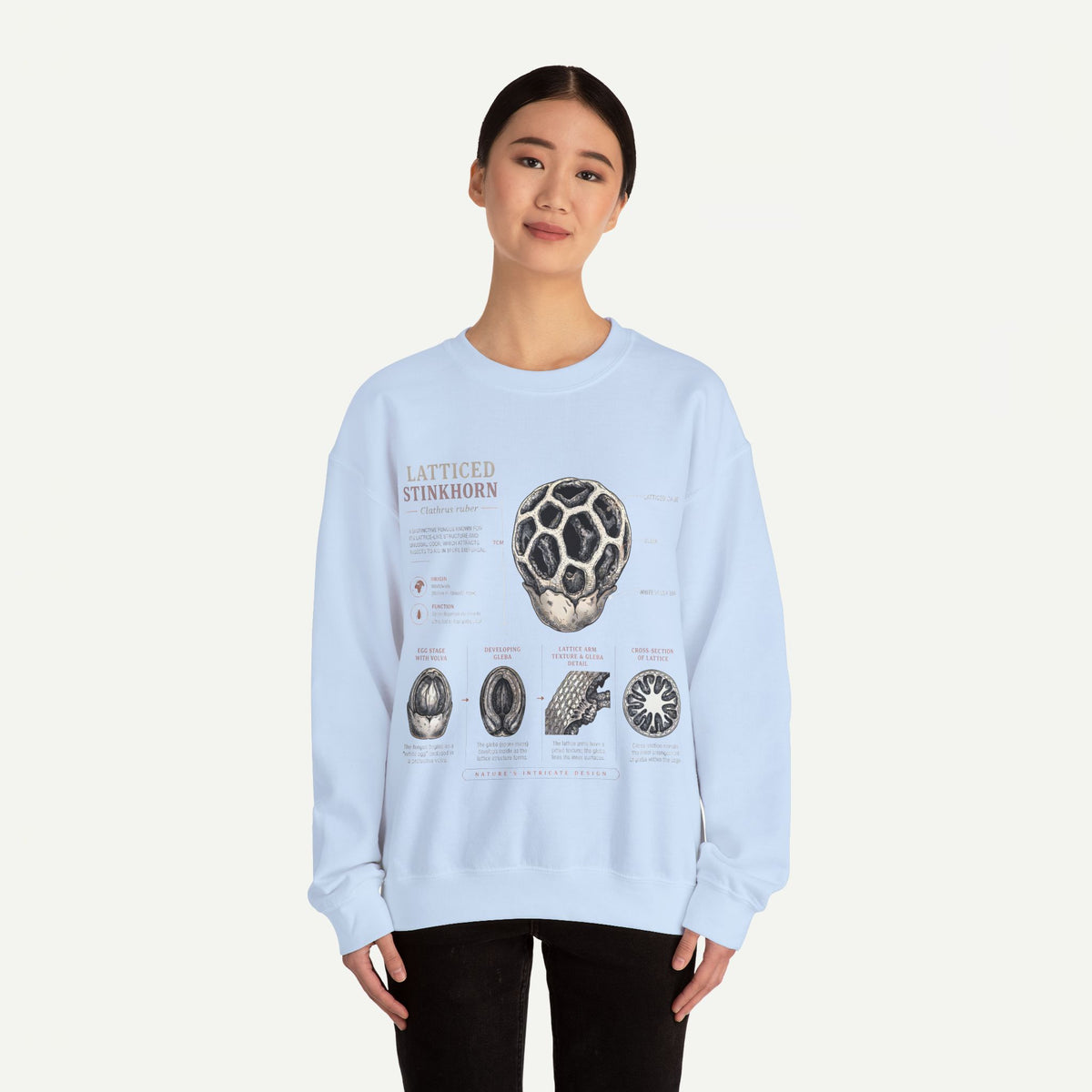 Mushroom Anatomy Sweatshirt – Latticeed Stinkhorn Mycology Crewneck
