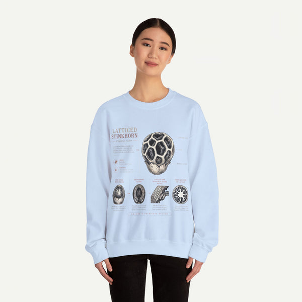 Mushroom Anatomy Sweatshirt – Latticeed Stinkhorn Mycology Crewneck