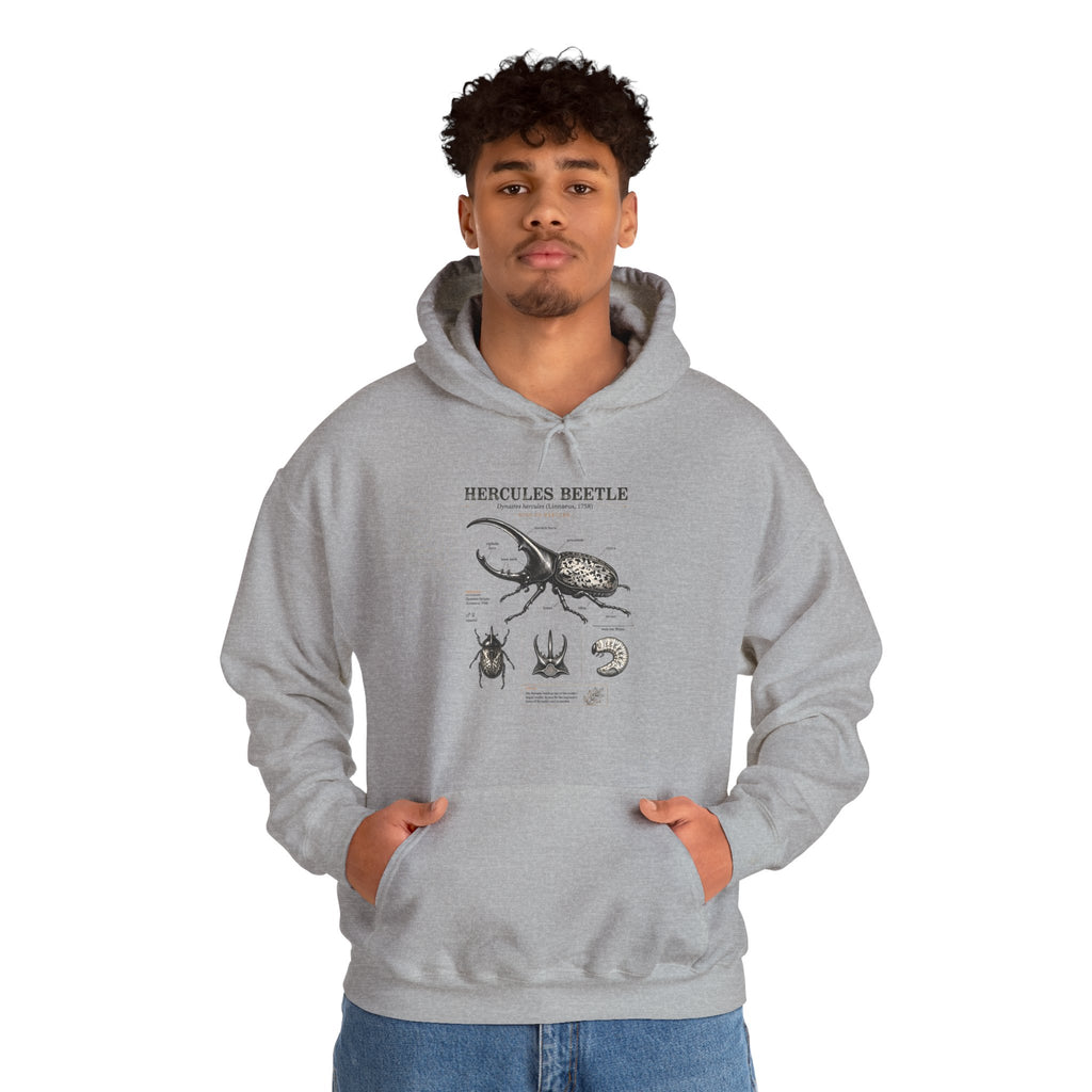 Hercules Beetle Anatomy Hoodie — Vintage Entomology Illustration Sweatshirt