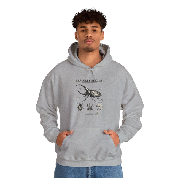 Hercules Beetle Anatomy Hoodie — Vintage Entomology Illustration Sweatshirt