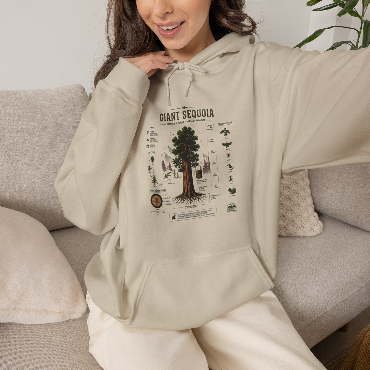 Giant Sequoia Botanical Hoodie — Vintage Tree Illustration & Facts