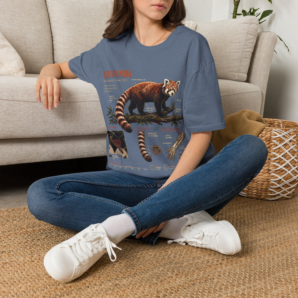 Red Panda Anatomy T-Shirt — Vintage Wildlife Graphic Tee