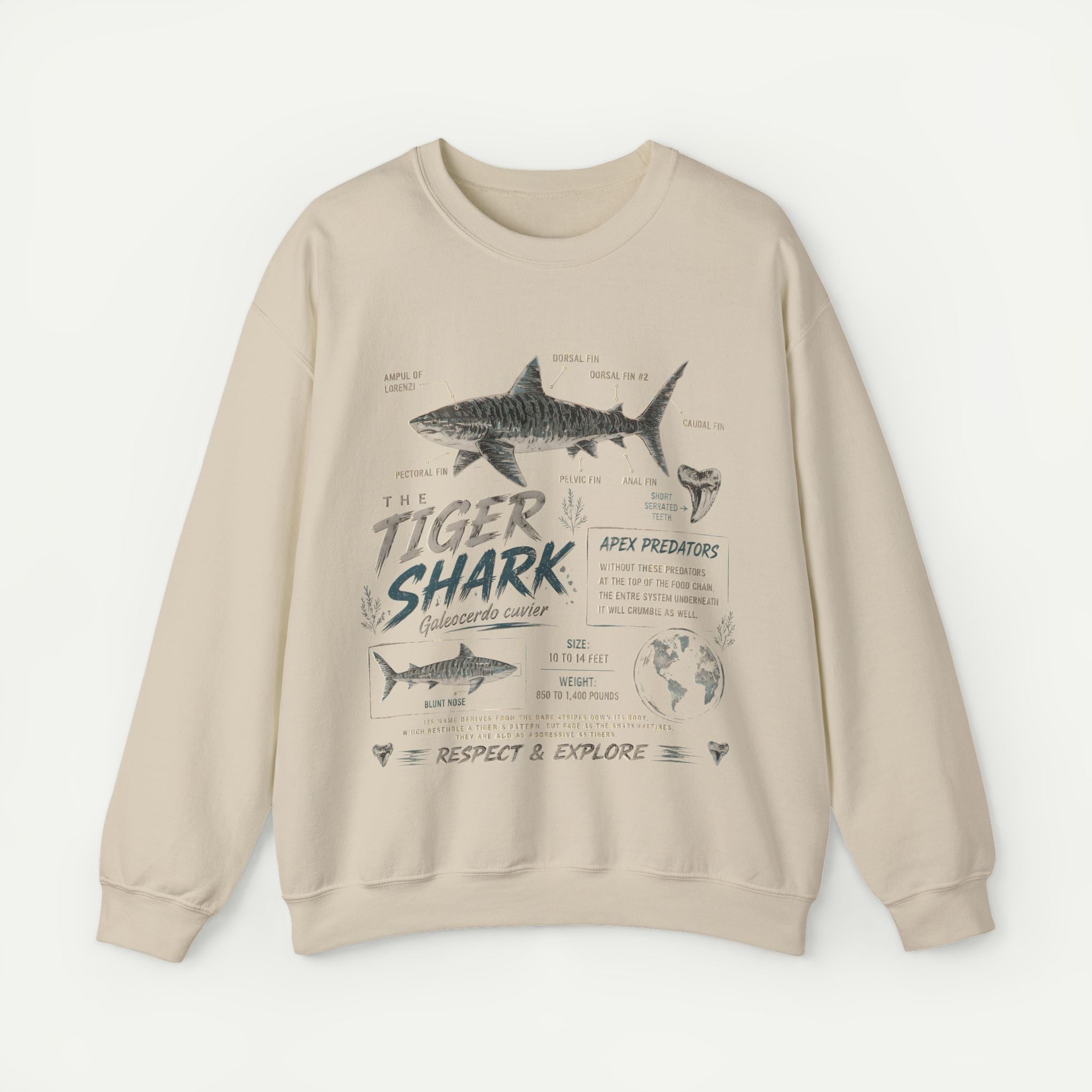 Tiger Shark Anatomy Sweatshirt — Marine Biology Graphic Crewneck Secondary image