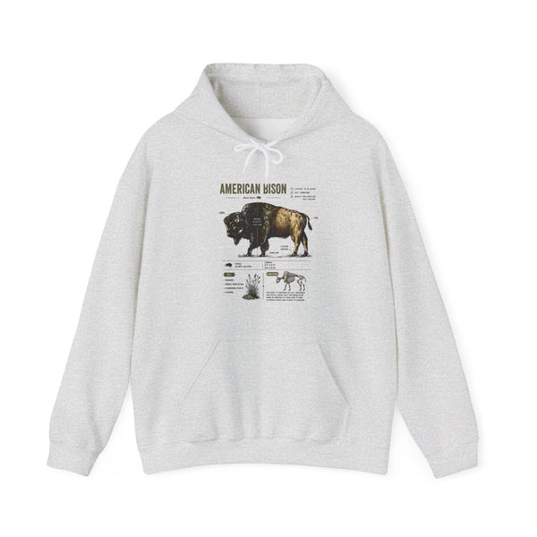Bison Anatomy Hoodie — American Bison Illustration & Facts Sweatshirt