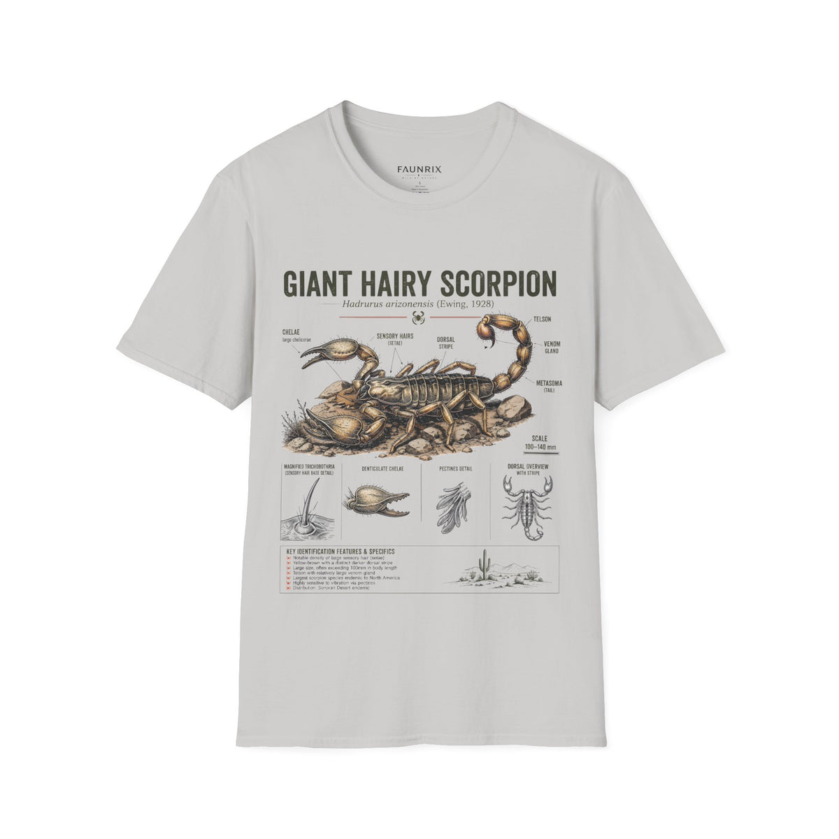 Giant Hairy Scorpion Anatomy T-Shirt — Vintage Natural History Graphic Tee Main image