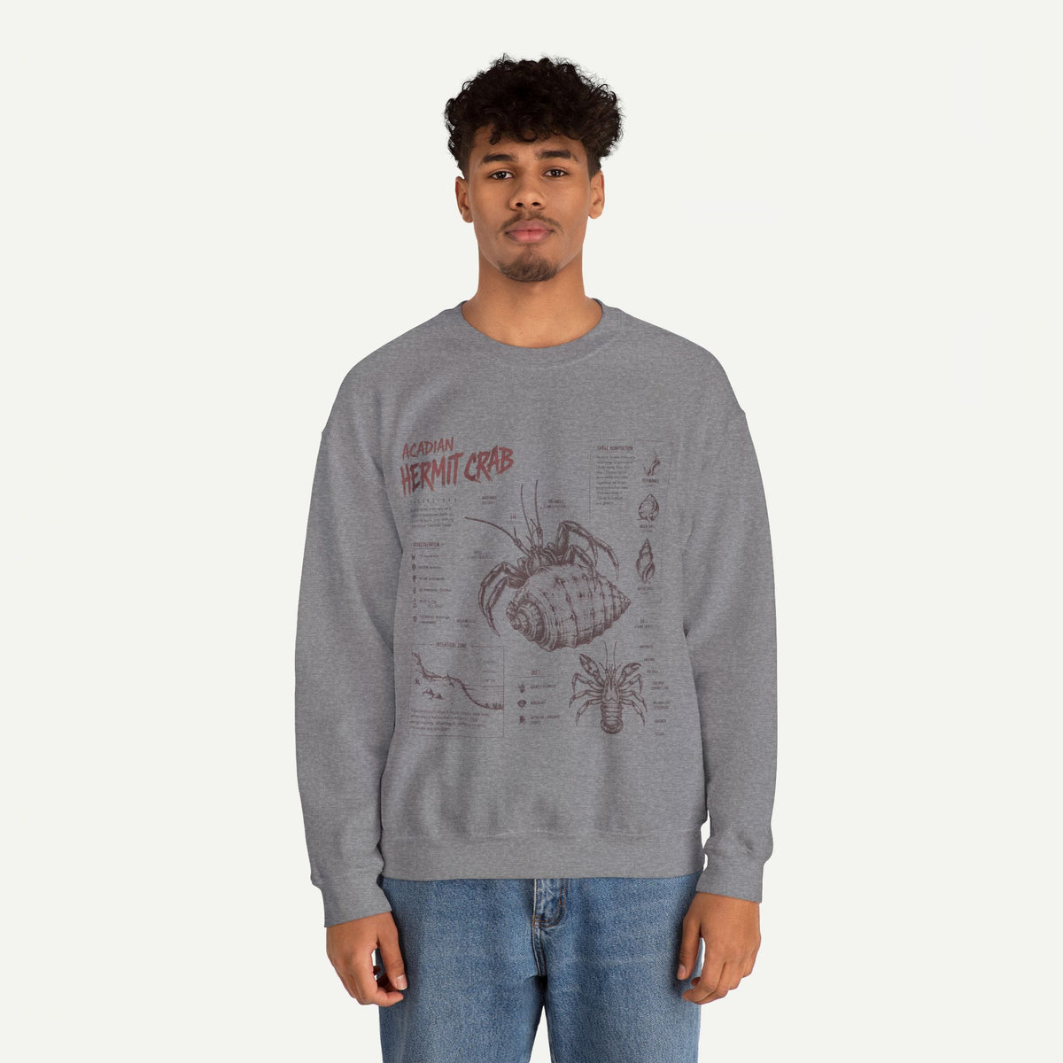 Hermit Crab Anatomy Sweatshirt — Acadian Hermit Crab Illustration