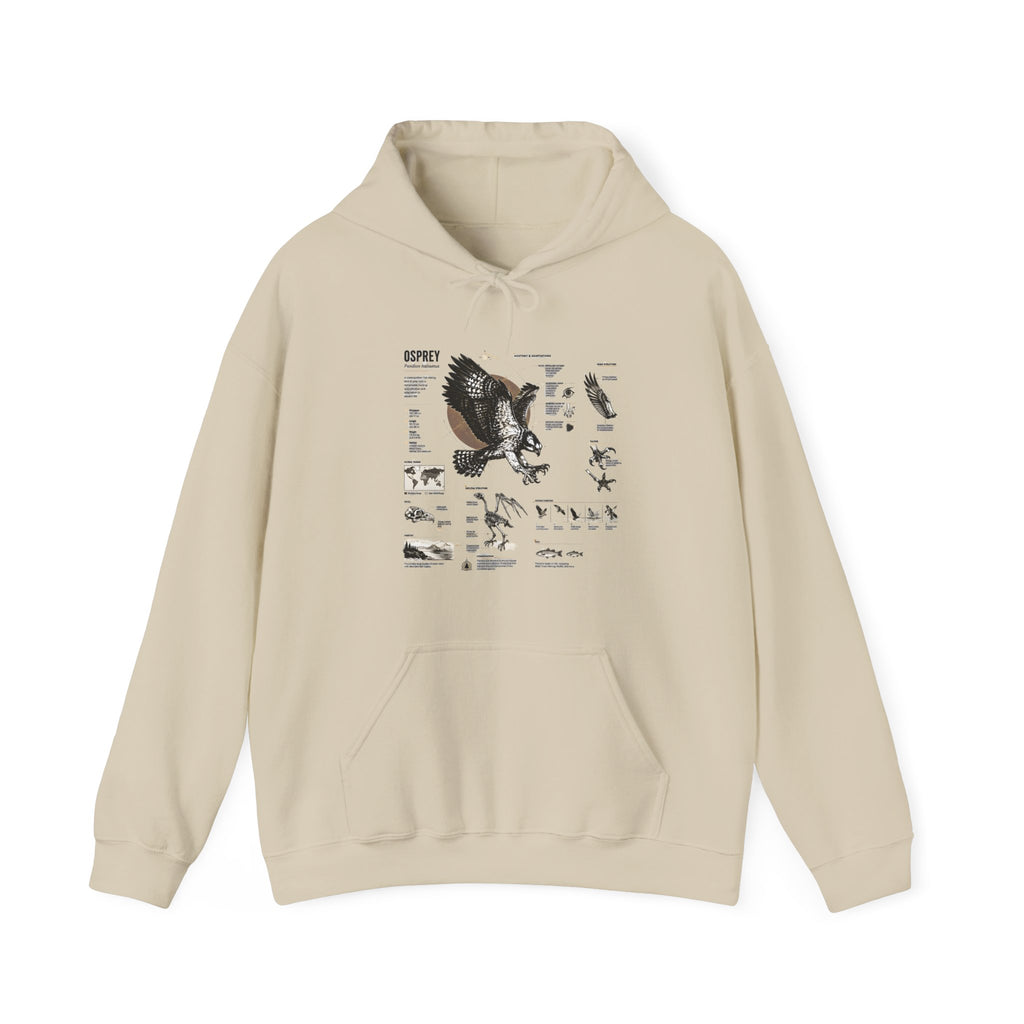 Eagle Anatomy Hoodie — Vintage Ornithology Graphic Sweatshirt