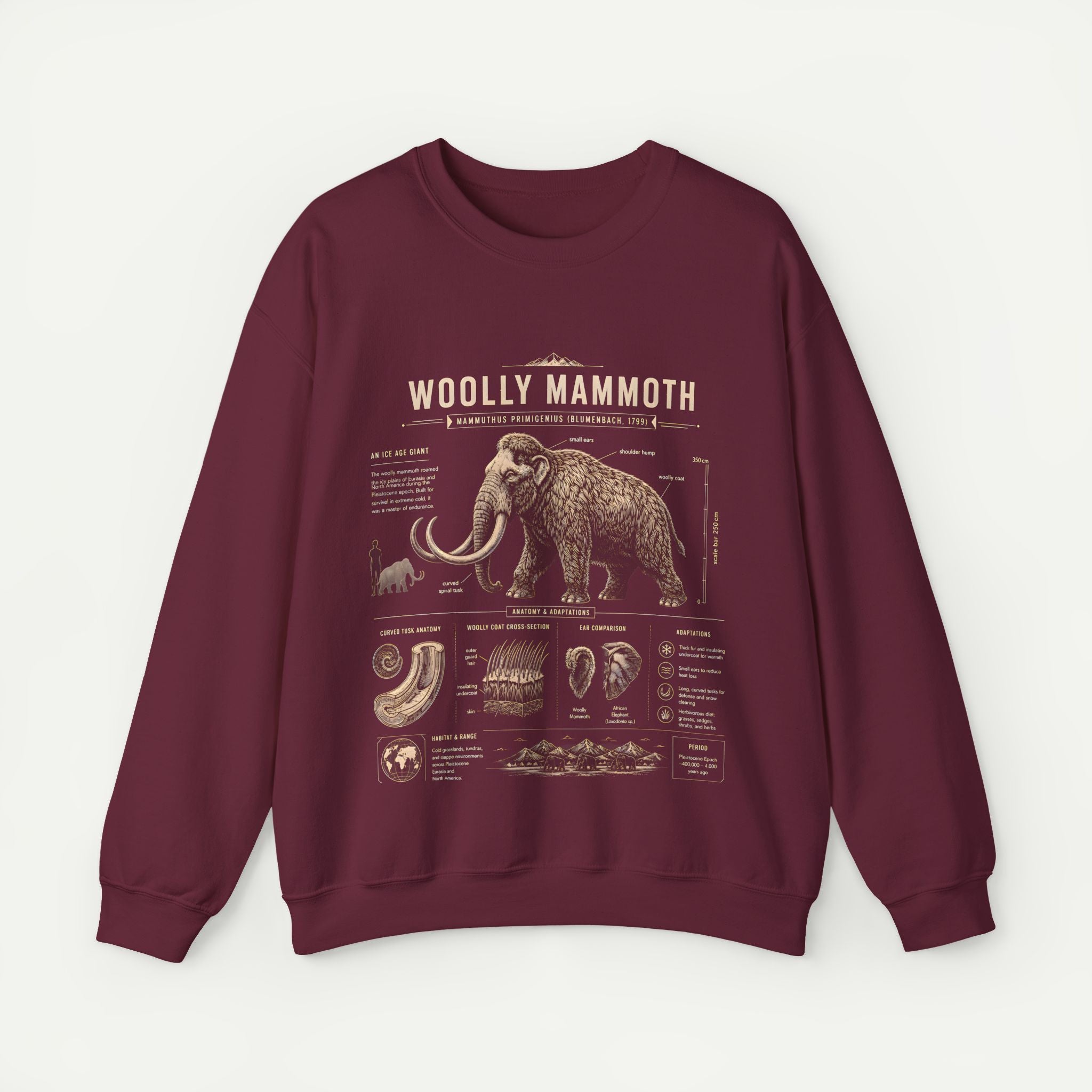 Woolly Mammoth Anatomy Sweatshirt — Vintage Natural History Crewneck Secondary image
