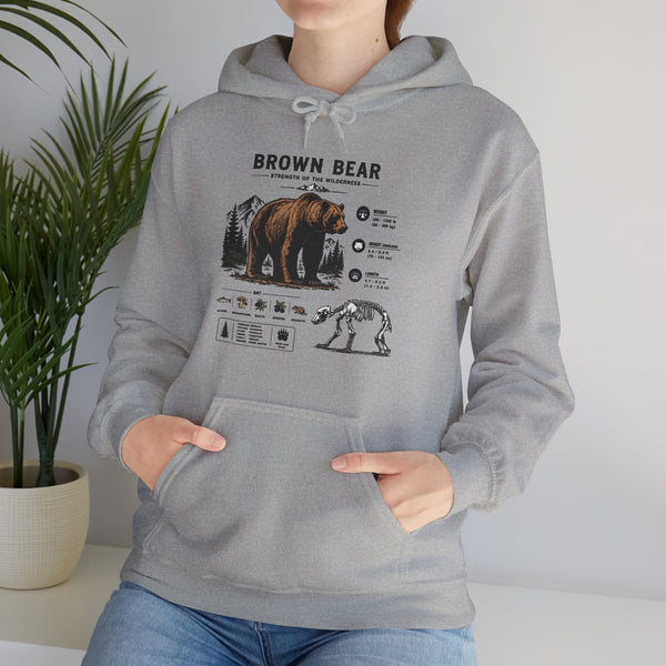 Brown Bear Anatomy Hoodie — Vintage Wildlife Graphic Sweatshirt
