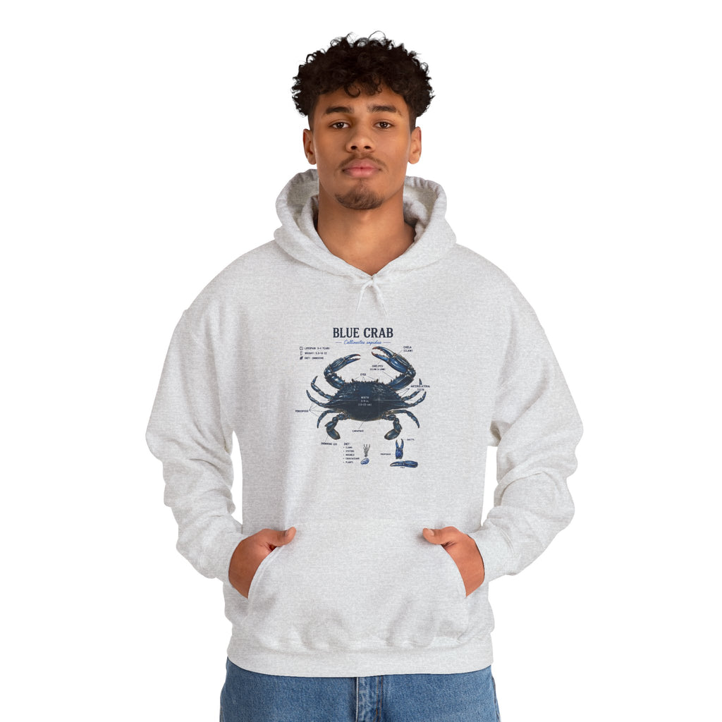 Blue Crab Anatomy Hoodie — Nautical Marine Biology Graphic Sweatshirt