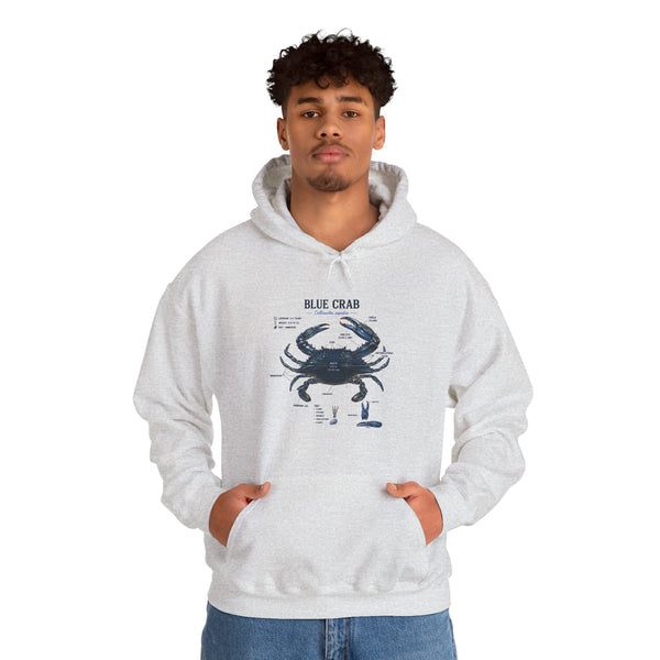 Blue Crab Anatomy Hoodie — Nautical Marine Biology Graphic Sweatshirt