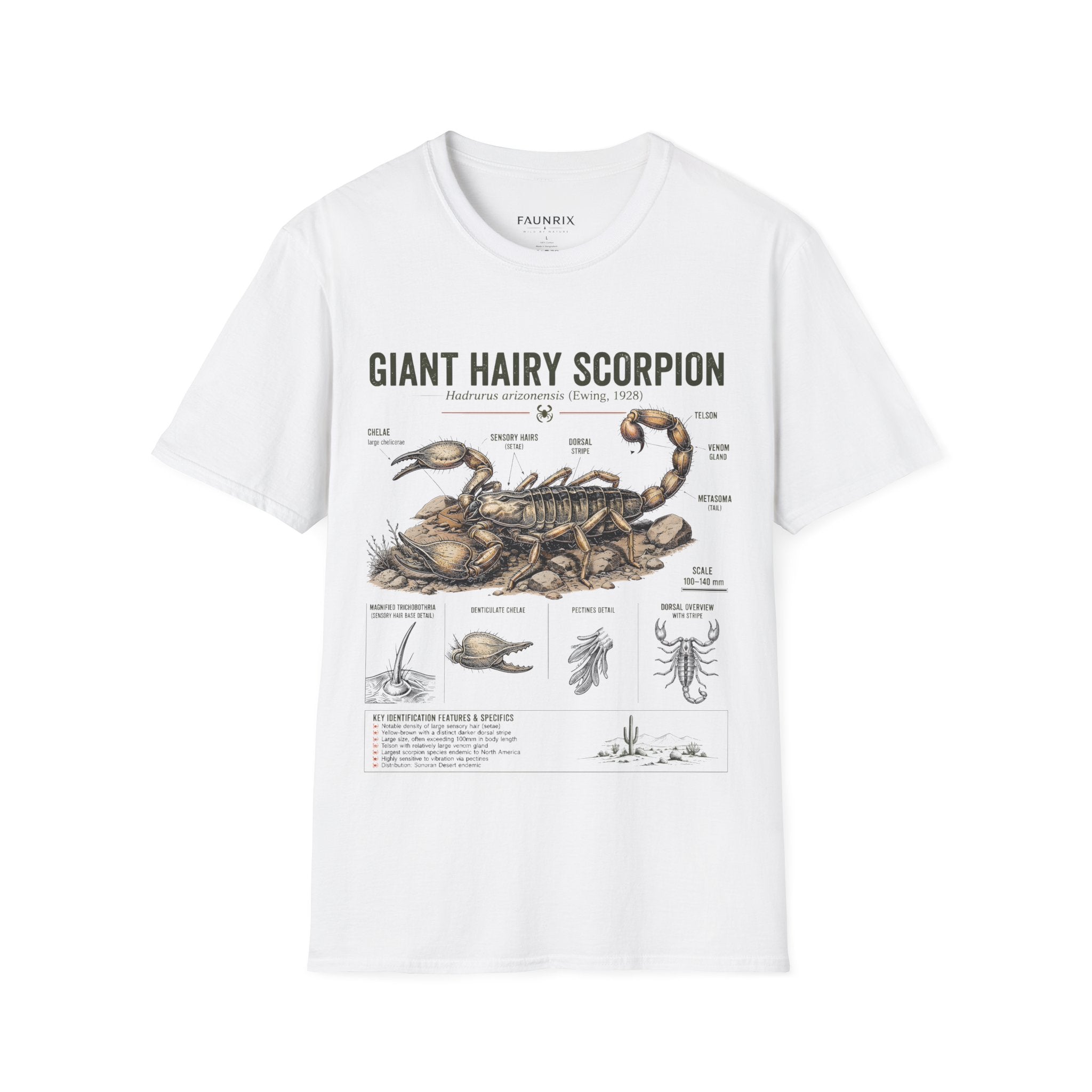 Giant Hairy Scorpion Anatomy T-Shirt — Vintage Natural History Graphic Tee Secondary image