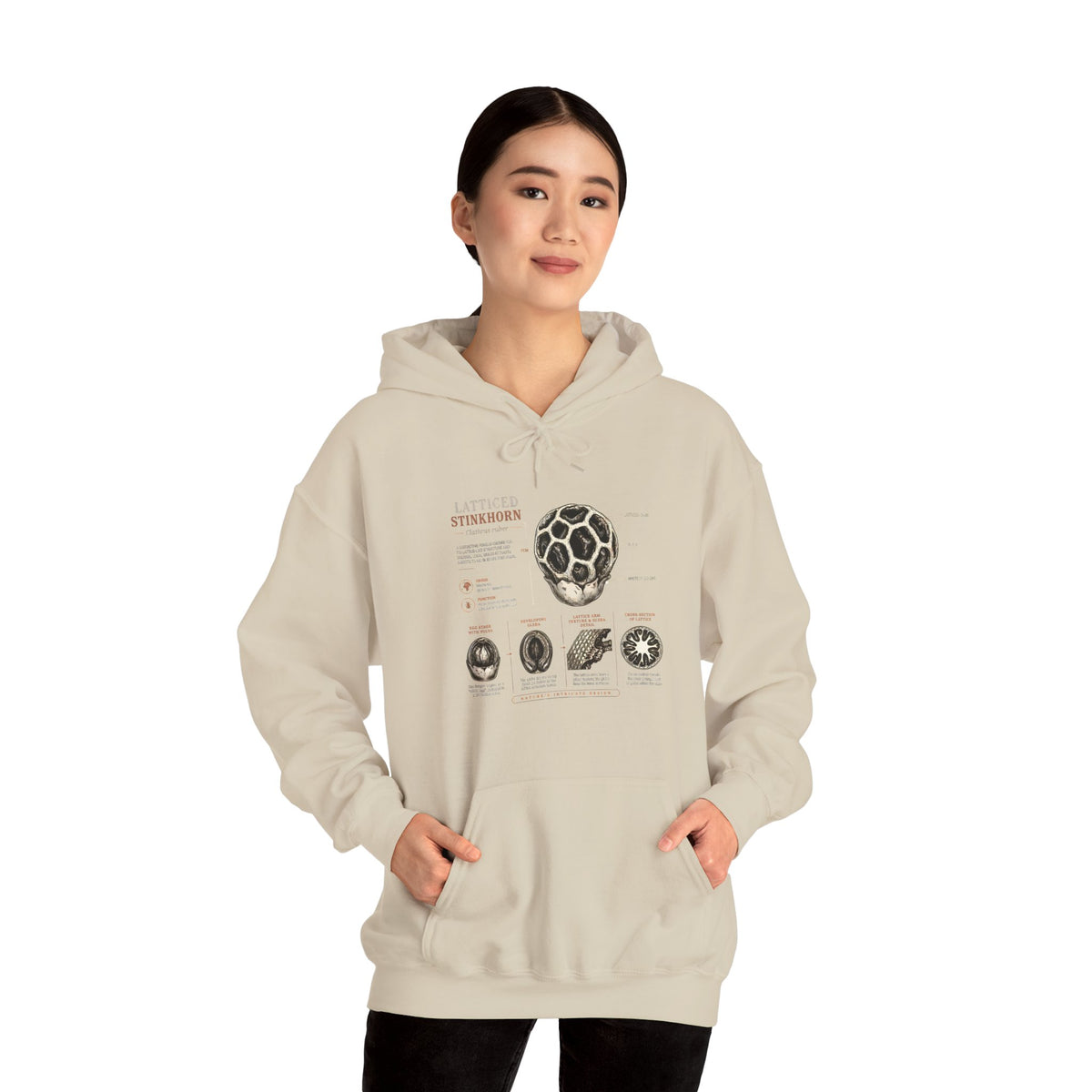 Hoodie — Mushroom Anatomy Chart Graphic Hoodie