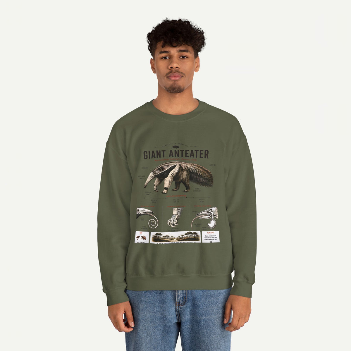 Giant Anteater Anatomy Crewneck Sweatshirt – Vintage Wildlife Anatomy Illustration