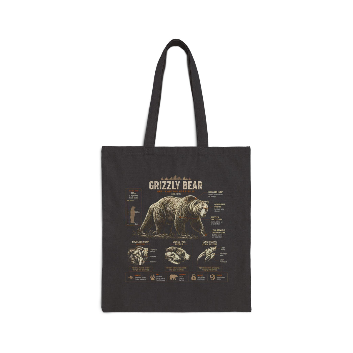 Grizzly Bear Anatomy Canvas Tote — Wildlife Illustration Eco Bag Main image